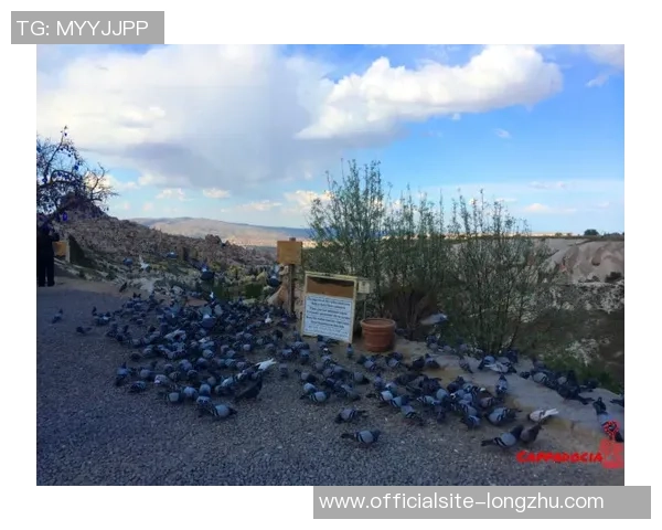 探索埃斯特旺的魅力与历史深度领略这座城市的独特风情与文化底蕴